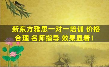 新东方雅思一对一培训 价格合理 名师指导 效果显着！